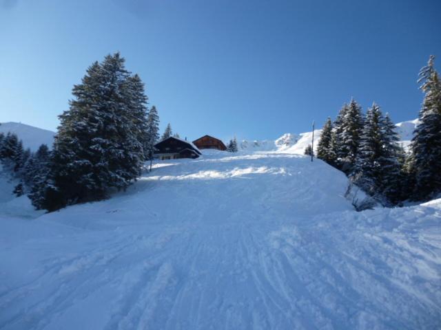 B&B Chalet Rey-Bellet Les Crosets Buitenkant foto